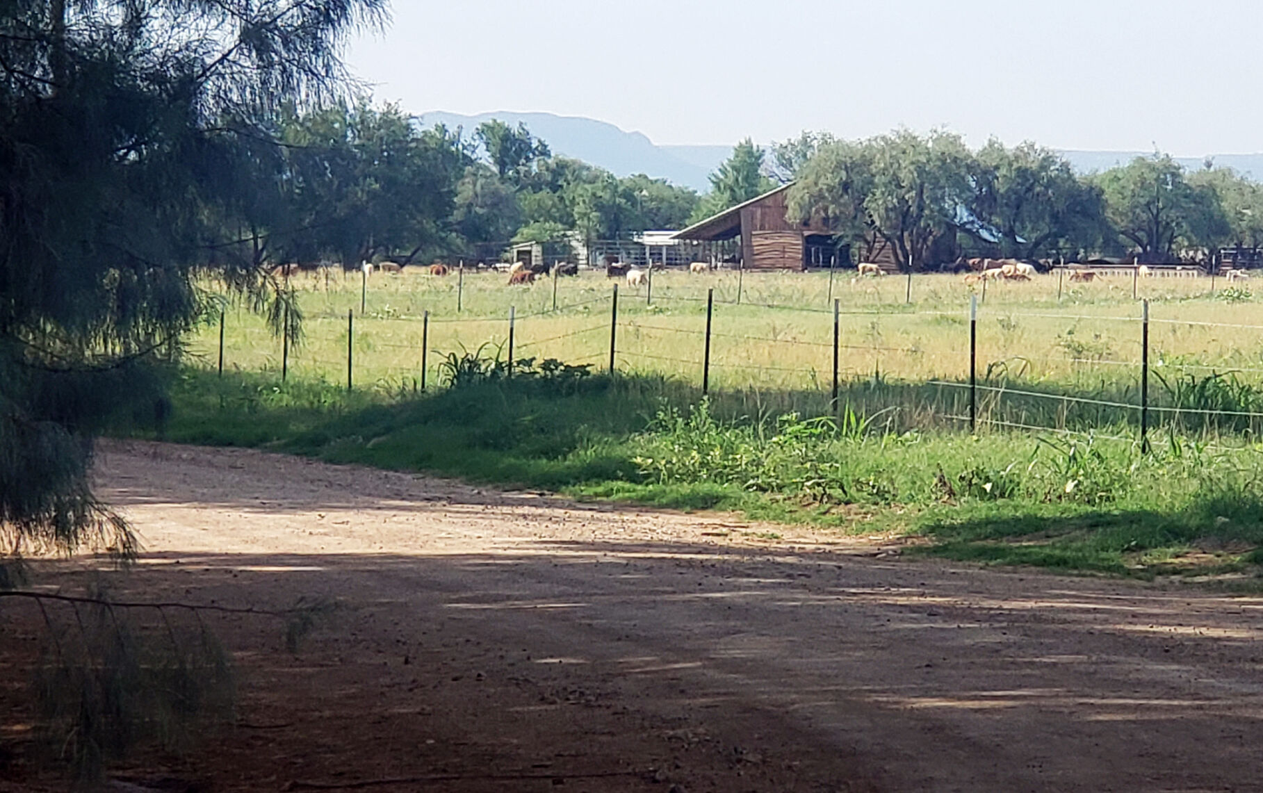 PM Ranch